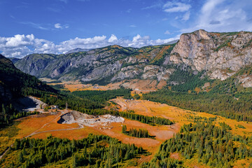 Aerial top view road in forest with car motion. Winding highway through green trees Altai. Concept ecosystem ecology healthy environment, travel trip