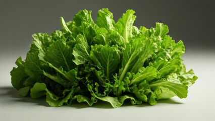 Poster -  Fresh vibrant green lettuce leaves