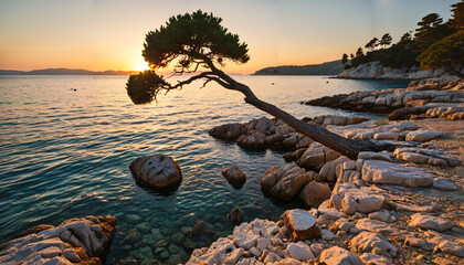 Poster - Coucher de soleil sur la plage rocheuse et l'arbre penché