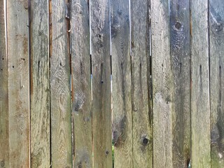 Wooden fence with weathered texture provides a rustic backdrop and ample copy space for creative design or messaging