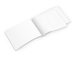 An image of a Landscape Brochure isolated on a white background