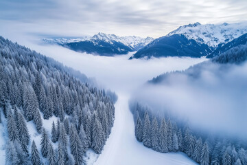 Wall Mural - Aerial view of a snow-covered forest and distant mountain peaks, with thick fog rolling through the valley, winter landscape