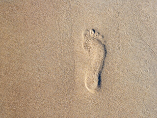 Footprint in the wet sand.