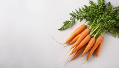 Wall Mural - fresh carrots on white background 2