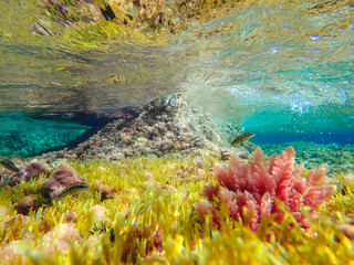 Dark blue ocean surface seen from underwater. Abstract waves underwater and rays of sunlight shining through, Sun light rays undersea deep, Underwater background with sea bottom, Mediterranean sea.