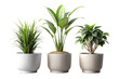 © morad - Realistic minimal houseplant pots, isolated on a transparent background png