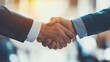 © WS Studio 1985 - Professional Handshake in Business Environment