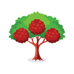 Red Mulberry tree isolated flat vector illustration on white background