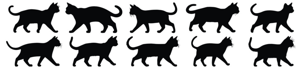 Canvas Print - Cat silhouette set vector design big pack of feline illustration and icon