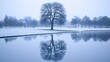 © Farn - 40. A calm, fog-covered lake with the reflection of a single tree breaking the stillness of the water