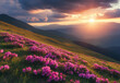 © Mokhtar - Stunning sunset over a vibrant field of pink flowers in a mountainous landscape.