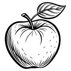 Apple with a leaf line art vector illustration