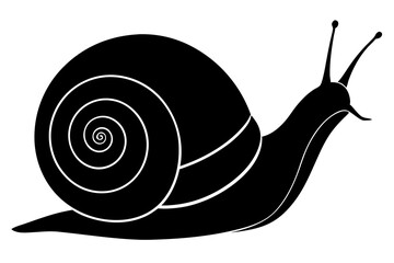 Wall Mural - snail silhouette vector art illustration