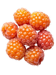 Wall Mural - Golden hued cloudberries, delightful and unique fruit, are showcased in this image. Their vibrant color and distinct texture make them perfect addition to any culinary creation