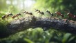 © Boonnam Burart - A line of ants crossing a narrow twig bridge, working together to navigate the forest floor.