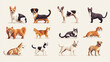 © Sahraya - Set of various portraits of cats and dogs, featuring cute pets of different breeds. Hand-drawn vector illustration isolated on a light background in modern flat cartoon style