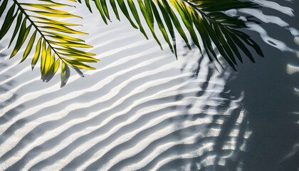 Wall Mural - transparent shadow overlay effect palm leaves water ripples and sunlight reflections on transparent background ideal for product placement