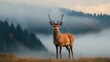 © Nuntapuk - Majestic Deer Standing in Misty Forest Landscape