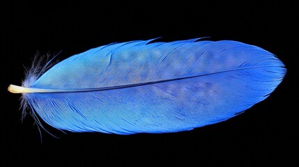 Sticker -   A photo of a blue bird feather, zoomed in on a dark background, displaying the reflection of its wing