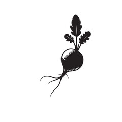 Wall Mural - silhouette of a radish, Radish icon vector illustration graphic design