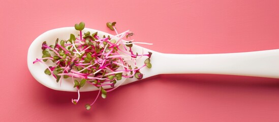 Wall Mural - Fresh Pink Radish Sprouts On A White Spoon Top View