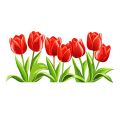 Wall Mural - Several realistic growing red tulips (13)