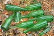 © FEDOR - pile of discarded hard dirty round transparent green old industrial open glass empty retro champagne bottles lying on the ground during daytime on the street