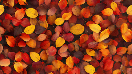 A colorful autumnal backdrop, featuring an abundance of fallen leaves in shades of red, orange, and yellow.