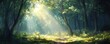 © tanapat - Sunlight streams through the dense canopy of a lush forest, illuminating the path ahead.