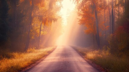 Sticker - A serene autumn road illuminated by soft sunlight through trees.