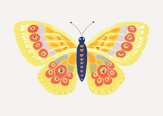 Wall Mural - Colorful butterfly vector illustration