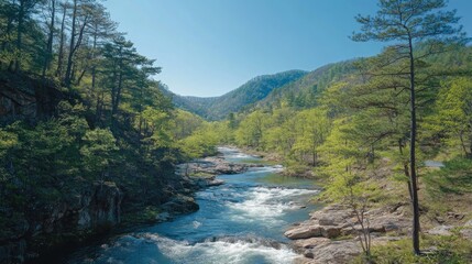 A serene river flows through lush greenery under a clear blue sky, showcasing nature's beauty.