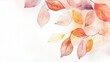 © WH Jeong - Simple and elegant abstract fallen leaves and branches watercolor background, white background, banner.For card, invitation, web, social media, presentation, slide show, marketing, advertising.