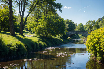 a river with a bridge and trees