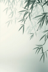 Wall Mural - Serene Minimalist Bamboo Background for Relaxation