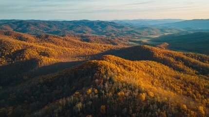 Wall Mural - aerial view of golden hills