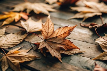 Autumn leaves scattered on a rustic wooden surface during fall season showcasing vibrant colors and textures