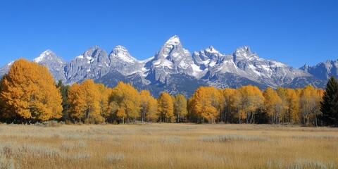 Poster - A stunning view of snow-capped mountains with a golden autumnal forest in the foreground.