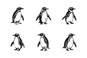 Poster - penguin silhouette minimal artwork set. collection of penguin logo icon