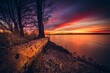 © RooM The Agency - Dramatic sunset over a fallen tree trunk and forest landscape by the Curonian Gulf, Lithuania