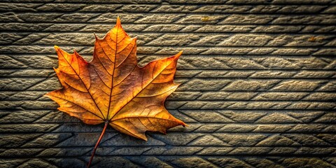 Wall Mural - high angle view of leaf with copy space on wallpaper background
