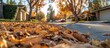 © 2rogan - Dry Leaves On The Street In Front Of The House