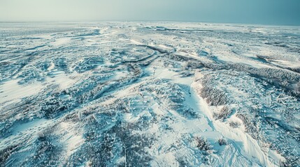 Canvas Print - Aerial View of a Snowy Landscape in Winter