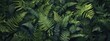 © BerkahStock - A lush arrangement of various green ferns creating a vibrant, natural backdrop.