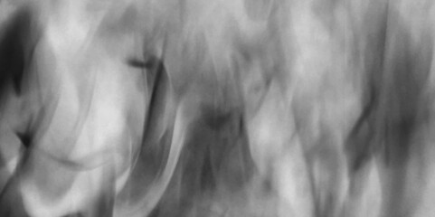 Wall Mural - Swirls of gloomy grey smoke on a dark black background. Smoke black ground fog cloud floor mist background steam dust dark white horror overlay. abstract background smoke curves and wave vector design