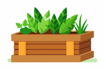 Wall Mural - Growing plants in a wooden box with soil