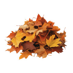 Wall Mural - Pile of Autumn Maple Leaves Isolated
