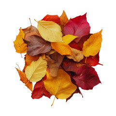 Wall Mural - Autumn Leaves Pile in Bright Fall Colors
