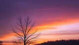 Fototapeta Niebo - A dramatic sky over a forest, showcasing an orange and purple sunset with silhouettes of bare branches and trees against the sky.