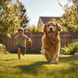 © Chanyapat - A golden retriever happily playing fetch with young boy in sunny backyard, showcasing joy and companionship. scene captures essence of playful moments between pets and children